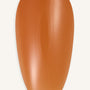 Amber · 214