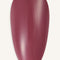 Liquid Builder Gel Aurora · 215