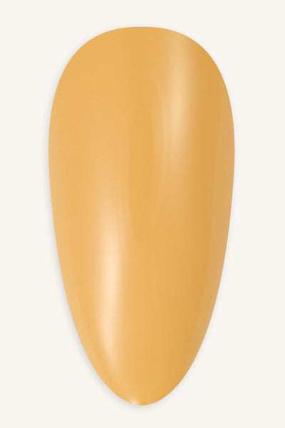 Grass Daisy  · 242 - Tip