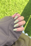 Camo · 491