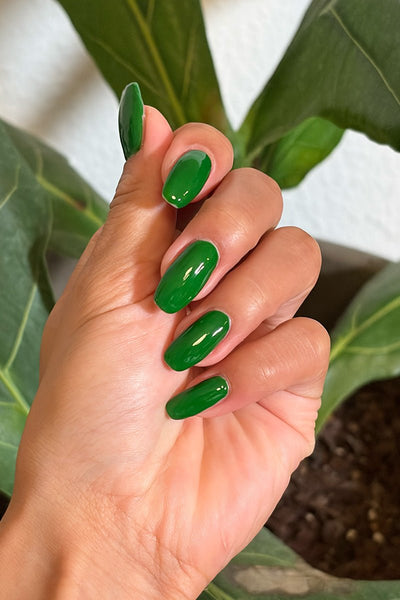 Lucky Charm · 515 - Alternate View