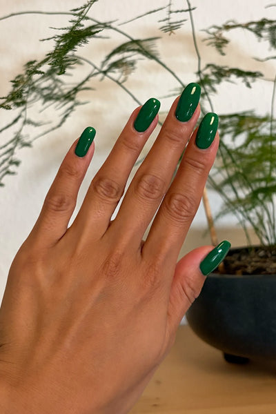 Pickle · 516 - Alternate View