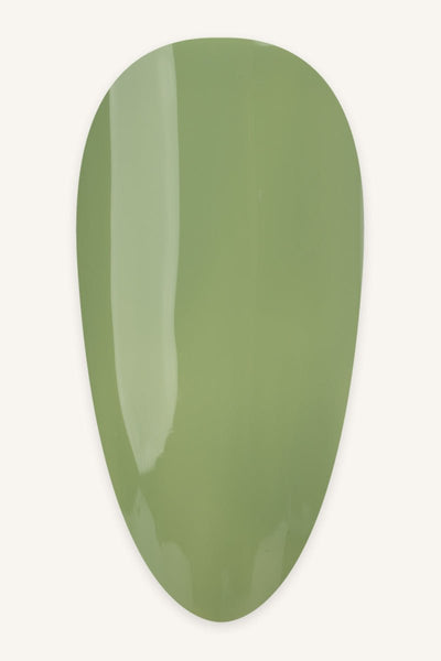 Pistachio · 488