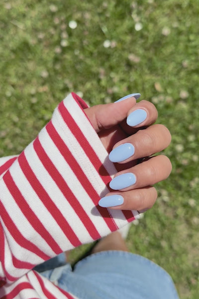 Dolphin  · 298 - Color