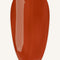 Pumkin Spiece · 505