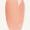 Toffee Rose · 476