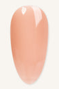 Toffee Rose · 476
